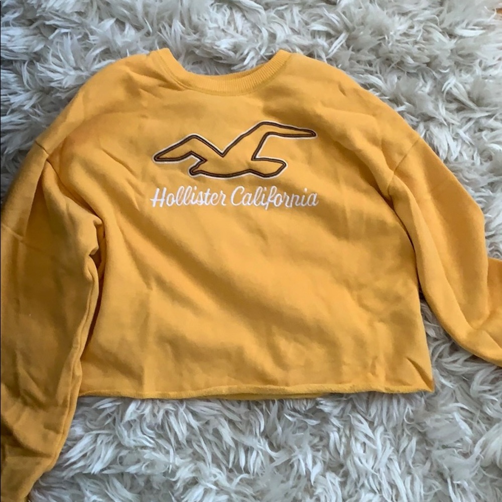 Cute Hollister cropped sweatshirt